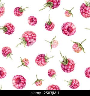 Motif aquarelle sans couture avec framboises et mûres. Illustration de dessin à la main baies rouges. Élément de design graphique isolé sur blanc Banque D'Images