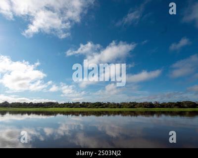 Paysage du fleuve Amazone. Prise près du parc national de Mamiraua. Banque D'Images