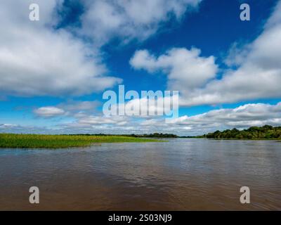 Paysage du fleuve Amazone. Prise près du parc national de Mamiraua. Banque D'Images
