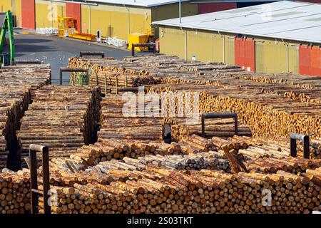 Hobart Tasmanie, les fournitures forestières de bois prêtes à l'exportation, il n'a pas eu d'option viable à long terme pour des centaines de milliers de tonnes de déchets de bois Banque D'Images