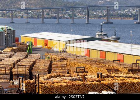 Hobart Tasmanie, les fournitures forestières de bois prêtes à l'exportation, il n'a pas eu d'option viable à long terme pour des centaines de milliers de tonnes de déchets de bois Banque D'Images