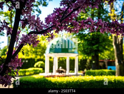 Une scène de jardin pittoresque avec un belvédère avec un dôme vert, entouré d'une végétation luxuriante et de fleurs violettes florissantes au premier plan. Banque D'Images