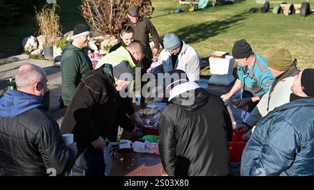 Ohrady, Dunajská Streda, Slovaquie - novembre 30 2024 : abattage de cochons de village traditionnel (zabíjačka), des gens travaillant ensemble à l'extérieur Banque D'Images