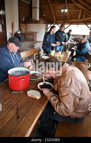Ohrady, Dunajská Streda, Slovaquie - novembre 30 2024 : abattage de cochons de la communauté villageoise traditionnelle (zabíjačka), les hommes appréciant la nourriture et la conversation Banque D'Images