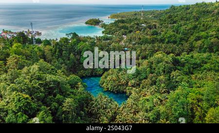 Lac le plus transparent avec l'eau bleu cristal et la côte océanique à Sulawesi, Indonésie. Vue drone Banque D'Images