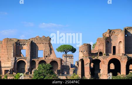 Vue du Mont Palatin à Rome, Italie : vestige de la Domus Severiana. Banque D'Images