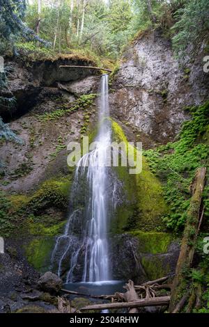 Marymere Falls Cascading au-dessus de Mossy Rocks dans un cadre forestier luxuriant. Banque D'Images