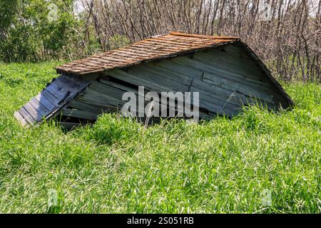 Une ancienne grange délabrée avec un toit qui manque plusieurs pièces. La grange est entourée d'herbe et d'arbres Banque D'Images