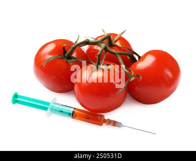 Concept d'OGM. Tomates fraîches et seringue isolées sur blanc Banque D'Images