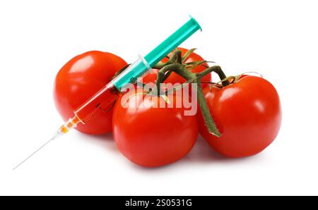 Concept d'OGM. Tomates fraîches et seringue isolées sur blanc Banque D'Images
