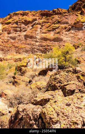 Une montagne rocheuse avec un arbre qui pousse dessus. L'arbre est jaune et vert. La montagne est très haute et rocheuse Banque D'Images