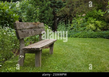 Vieux banc assis en bois sur la pelouse d'herbe verte dans le jardin d'arrière-cour en été. Banque D'Images