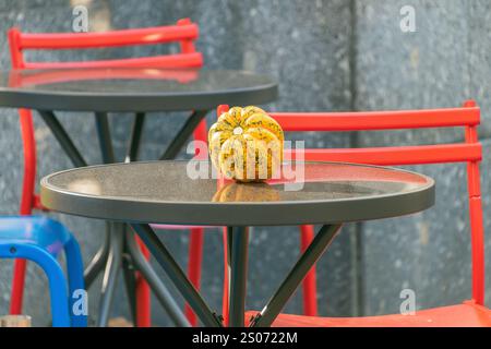 Une petite citrouille jaune est assise sur une table dans un café en plein air. Décorations festives. Banque D'Images