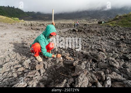 Fonte de la guimauve au volcan Pacaya, Guatemala Banque D'Images