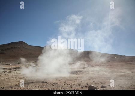 El sol de Mañana est une zone d'activité géothermique dans la Reserva nacional de fauna andina Eduardo Abaroa (réserve nationale de faune andine Eduardo Avaroa) à sur Lípez, Altiplano à une altitude de 4 900 mètres. Il contient des fumerolles, des geysers et des cratères. Banque D'Images