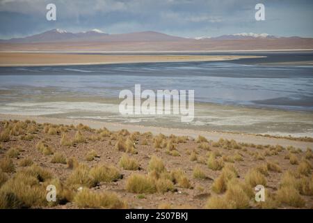 San Pablo, Bolivie. 21 mars 2024. Laguna Salada, un lac salé andin à l'intérieur de la plate saline Chalviri sur Lípez, Altiplano est vu au coucher du soleil. (Photo par Apolline Guillerot-Malick/SOPA images/Sipa USA) crédit : Sipa USA/Alamy Live News Banque D'Images