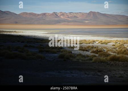 San Pablo, Bolivie. 21 mars 2024. Laguna Salada, un lac salé andin à l'intérieur de la plate saline Chalviri sur Lípez, Altiplano est vu au coucher du soleil. (Photo par Apolline Guillerot-Malick/SOPA images/Sipa USA) crédit : Sipa USA/Alamy Live News Banque D'Images