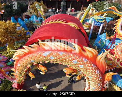 Des lanternes festives pour l'année du serpent sont installées près de la zone pittoresque de Fuzimiao dans la ville de Nanjing, dans la province du Jiangsu de l'est de la Chine, le 22 décembre 20 Banque D'Images