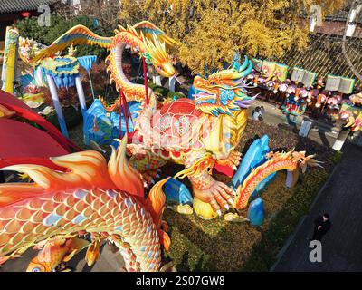Des lanternes festives pour l'année du serpent sont installées près de la zone pittoresque de Fuzimiao dans la ville de Nanjing, dans la province du Jiangsu de l'est de la Chine, le 22 décembre 20 Banque D'Images