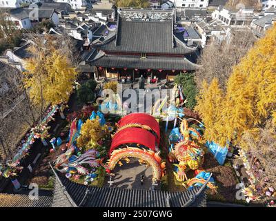 Des lanternes festives pour l'année du serpent sont installées près de la zone pittoresque de Fuzimiao dans la ville de Nanjing, dans la province du Jiangsu de l'est de la Chine, le 22 décembre 20 Banque D'Images