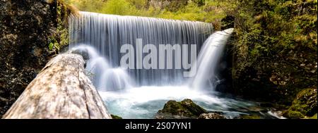 Une cascade sereine cascadant sur les rochers, entourée d'une végétation luxuriante. L'eau coule doucement, créant une atmosphère tranquille. Une bûche de bois est dans le Banque D'Images