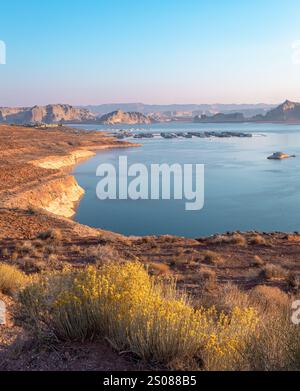 Lever de soleil le matin sur les montagnes désertiques rocheuses et les fleurs jaunes du lac Powell dans le nord de page Arizona Banque D'Images