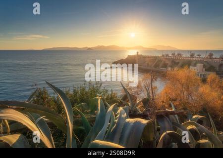 Piombino, vue sur la Piazza Bovio et le phare au coucher du soleil, île d'Elbe en arrière-plan et un peu de végétation au premier plan. Maremme, province de Banque D'Images