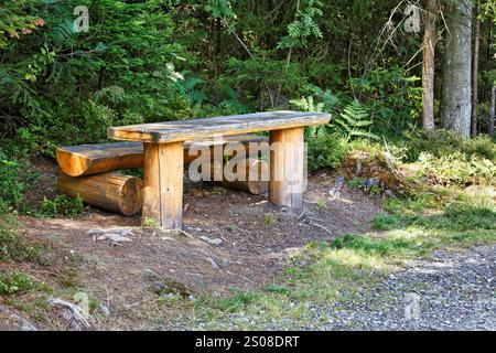 Aire de repos dans la forêt pour les randonneurs Banque D'Images