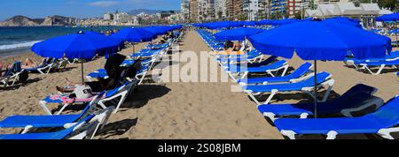 Vue sur la plage de Levante, ville de Benidorm, Costa Blanca, Province de Valence, Espagne, Europe Banque D'Images