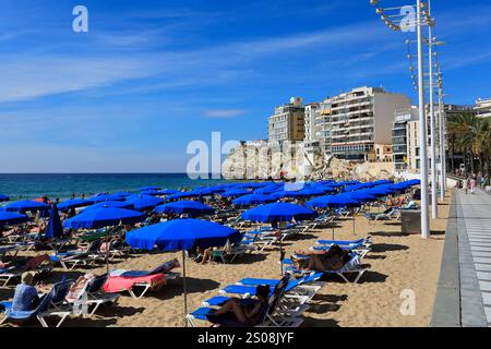 Vue sur la plage de Levante, ville de Benidorm, Costa Blanca, Province de Valence, Espagne, Europe Banque D'Images