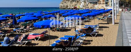 Vue sur la plage de Levante, ville de Benidorm, Costa Blanca, Province de Valence, Espagne, Europe Banque D'Images