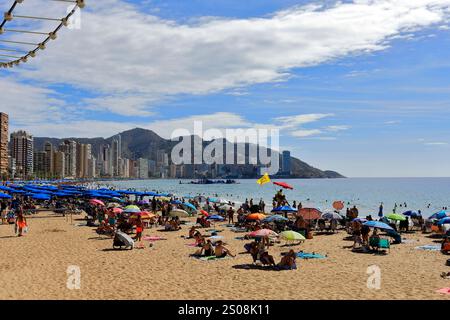 Vue sur la plage de Levante, ville de Benidorm, Costa Blanca, Province de Valence, Espagne, Europe Banque D'Images