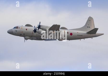 Japon, à la base aérienne de Kanoya 19 novembre 2024 : Kawasaki P-3 MPA à la base aérienne de Kanoya au Japon Banque D'Images