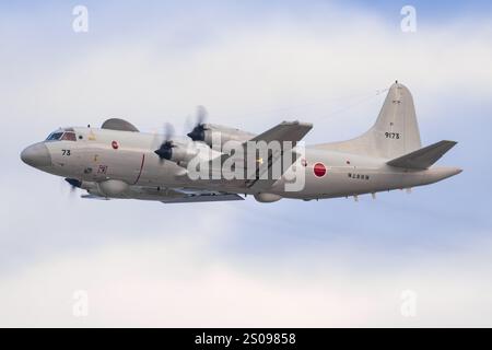 Japon, à la base aérienne de Kanoya 19 novembre 2024 : Kawasaki P-3 MPA à la base aérienne de Kanoya au Japon Banque D'Images