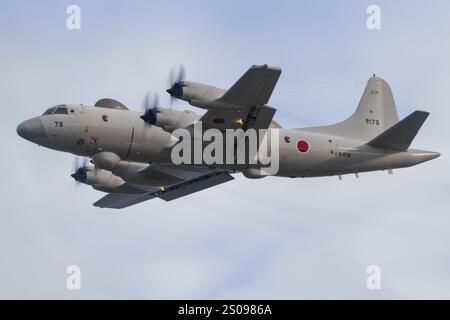 Japon, à la base aérienne de Kanoya 19 novembre 2024 : Kawasaki P-3 MPA à la base aérienne de Kanoya au Japon Banque D'Images