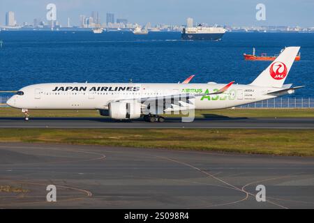 Japon - Tokio, 21 novembre 2024 : tous les A350 Nippon Airways (livraison ANA future Promise) au Japon Banque D'Images