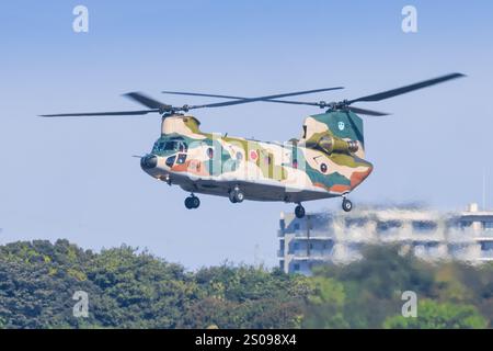 Japon, à la base aérienne de Kanoya 19 novembre 2024 : Boeing CH-47JA Chinook à la base aérienne de Kanoya au Japon Banque D'Images