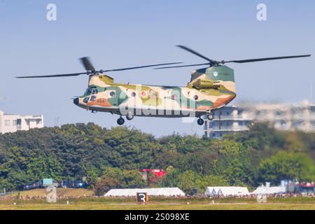 Japon, à la base aérienne de Kanoya 19 novembre 2024 : Boeing CH-47JA Chinook à la base aérienne de Kanoya au Japon Banque D'Images