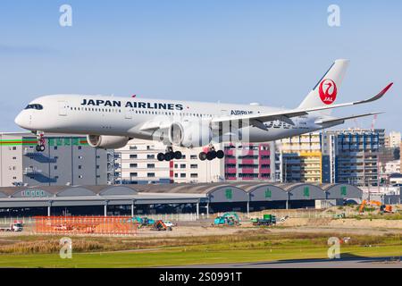 Japon - Tokio, 21 novembre 2024 : tous les A350 Nippon Airways (livraison ANA future Promise) au Japon Banque D'Images