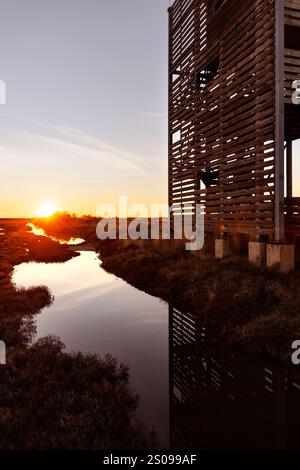 Vue depuis l'observatoire ornithologique du parc national du delta d'Evros, près d'Alexandroupolis et de la frontière turque, forêt de Dadia et zone humide protégée, coucher de soleil ou soleil Banque D'Images