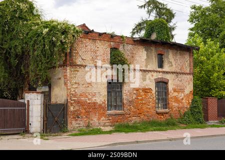 Bâtiment abandonné en briques rouges avec toit couvert de lierre et fenêtres brisées par une journée ensoleillée, entouré d'arbres verts et de buissons près d'une route pavée Banque D'Images