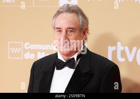 Juanjo Puigcorbé assiste au tapis rouge des Prix Jose María Forque 2024 au Palacio Municipal de Congresos de Madrid. Banque D'Images