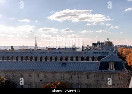 Magnifique paysage urbain de Paris avec Tour Eiffel. Paris, France Banque D'Images