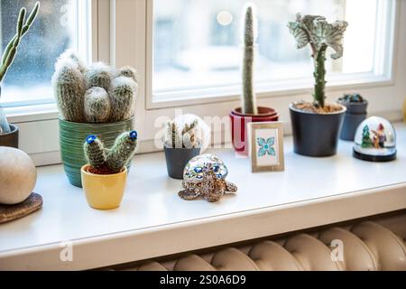 Une collection de petits cactus en pot et de succulentes sur un rebord de fenêtre, avec une figurine de tortue en mosaïque, une image encadrée et des globes de neige en Li naturel Banque D'Images