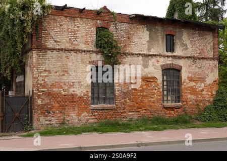 Ancien bâtiment en briques abandonné avec verdure envahie et fenêtres usées par une journée ensoleillée. Décadence urbaine, architecture historique et structures vintage Banque D'Images