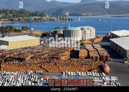 Hobart Tasmanie, les fournitures forestières prêtes à l'exportation à Macquarie Wharf dans les docks de Hobart, les grumes proviennent des forêts du sud de la Tasmanie, 2024 Banque D'Images