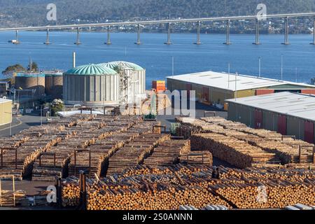 Hobart Tasmanie, les fournitures forestières prêtes à l'exportation à Macquarie Wharf dans les docks de Hobart, les grumes proviennent des forêts du sud de la Tasmanie, 2024 Banque D'Images