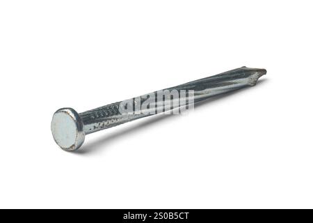 gros plan du fond blanc isolé de clou en béton métallique, attache utilisée dans les matériaux durs comme le béton, la brique ou la maçonnerie avec tête ronde plate Banque D'Images