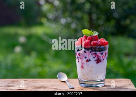 Dessert d'été pour le petit déjeuner dans un verre de fromage cottage avec de la crème sure, des myrtilles, des framboises, de la confiture et du miel sur fond de nature, espace copie. HEA Banque D'Images