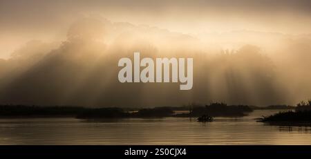 Vue panoramique de la forêt humide au lever du soleil sur le côté est du Rio Chagres, parc national de Soberania, République du Panama, Amérique centrale. Banque D'Images